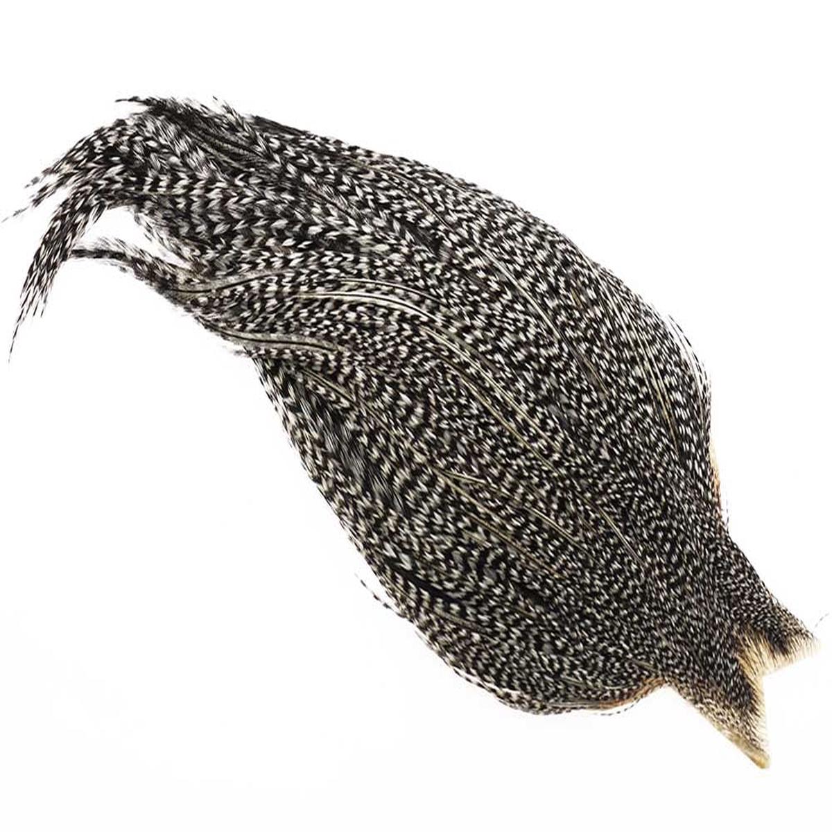 (Bronze Grade) Whiting Red Label Dryfly - Grizzly Variant